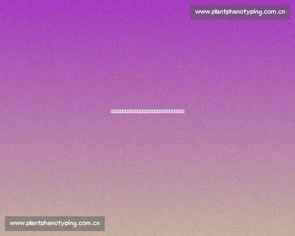 深度解析电视剧不期而至的情节发展与人物命运全景揭示全貌探秘篇