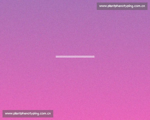 半暖时光围绕青春成长爱情纠葛的深度剧情解析全景展现人物命运走向