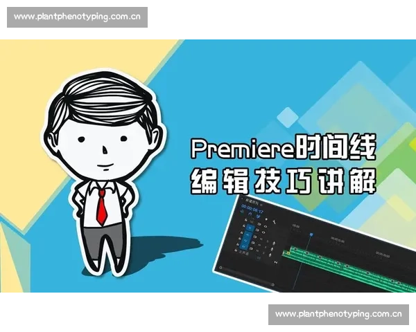 后期剪辑的核心流程与技巧解析 从素材整理到效果优化的全方位解读